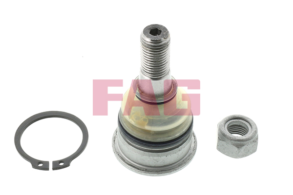SCHAEFFLER FAG Bærekugle 825022910 for NISSAN