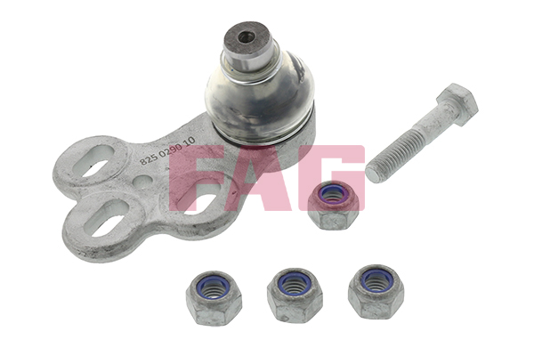 SCHAEFFLER FAG Bærekugle 825029010 for AUDI VW