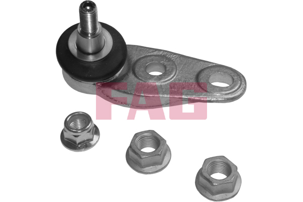 SCHAEFFLER FAG Bærekugle 825031110 for MINI