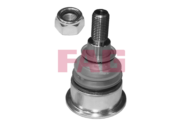 SCHAEFFLER FAG Bærekugle 825031310 for MINI