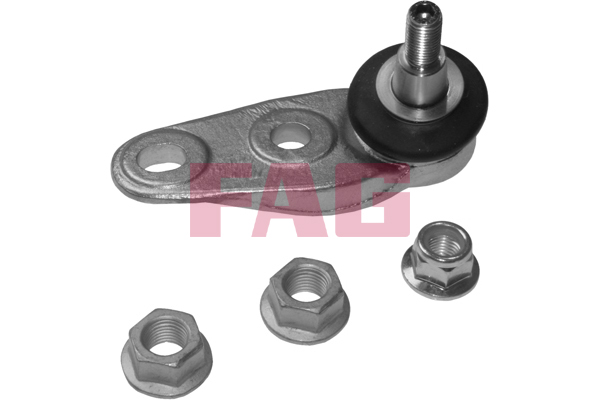 SCHAEFFLER FAG Bærekugle 825031210 for MINI