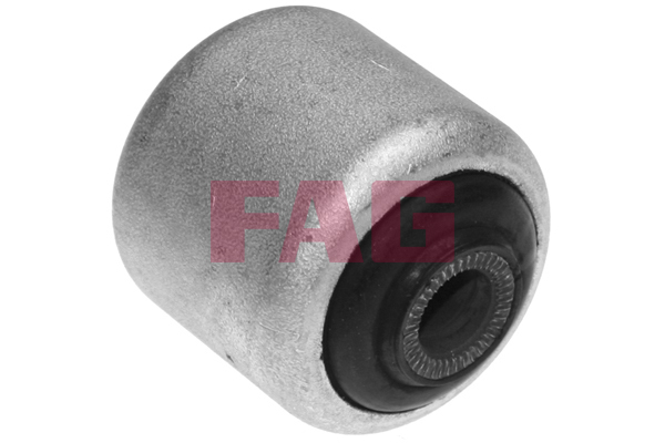 SCHAEFFLER FAG Ophæng, bærearm 829001210 for BMW