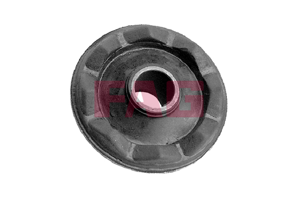 SCHAEFFLER FAG Ophæng, bærearm 829004710 for FORD USA