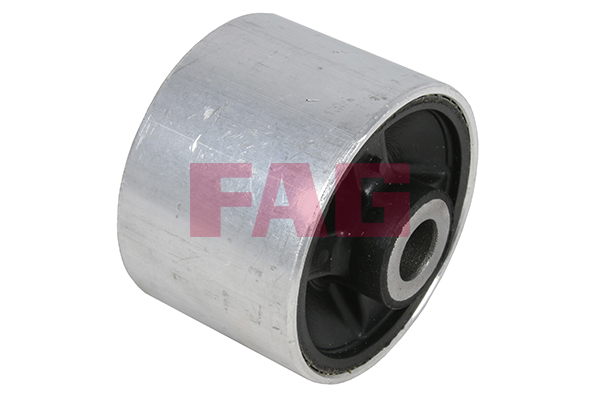 SCHAEFFLER FAG Ophæng, bærearm 829038210 for RENAULT