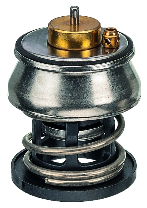FACET Termostat, kølemiddel 77977 for BMW MINI