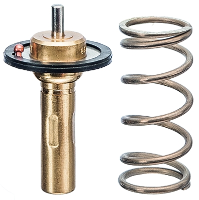 FACET Termostat, kølemiddel 78961 for FORD