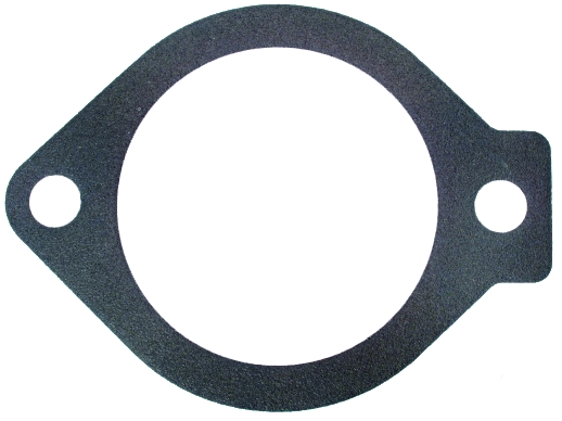 FACET Pakning, termostat 79691 for OPEL GENERAL MOTORS