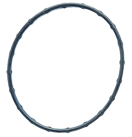 FACET Pakning, termostat 79717 for TOYOTA