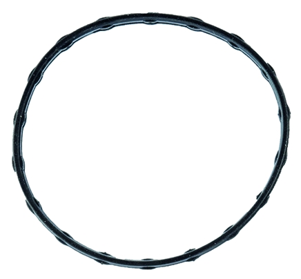 FACET Pakning, termostat 79737 for LEXUS SUZUKI