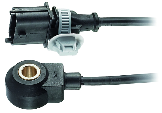 FACET Bankesensor 93034 for TOYOTA
