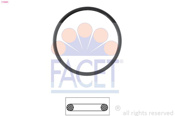 FACET Pakning, termostat 79561 for BMW