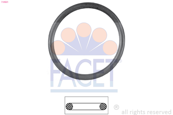 FACET Pakning, termostat 79551 for OPEL GENERAL MOTORS VOLVO MITSUBISHI RENAULT
