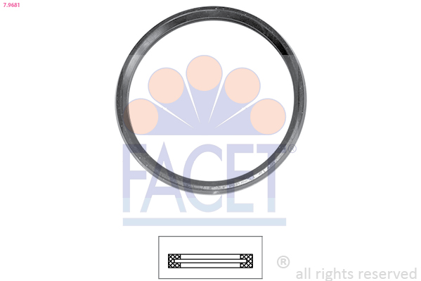 FACET 79681