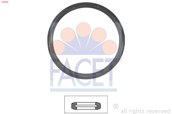 FACET 79703