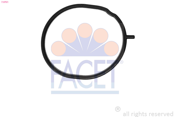 FACET Pakning, termostat 79751 for BMW