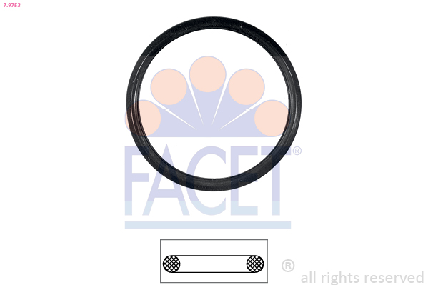 FACET Pakning, termostat 79753 for CUPRA