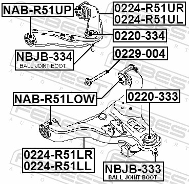 FEBEST Styrtkorrektionsskrue 0229004 for RENAULT NISSAN