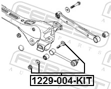 FEBEST Styrtkorrektionsskrue 1229004kit for HYUNDAI