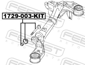 FEBEST Styrtkorrektionsskrue 1729003kit for VAG
