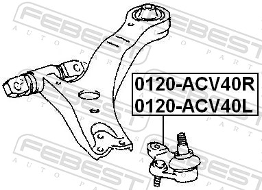 FEBEST Bærekugle 0120acv40r højre foraksel for TOYOTA