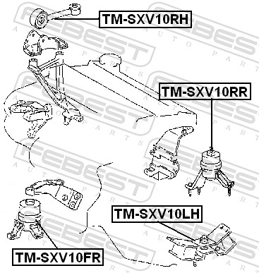 FEBEST Motorophæng TM-SXV10RH foran til højre for TOYOTA