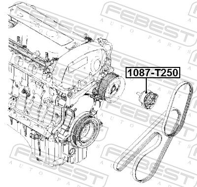 FEBEST Strammehjul, kilerem 1087t250 for GENERAL MOTORS