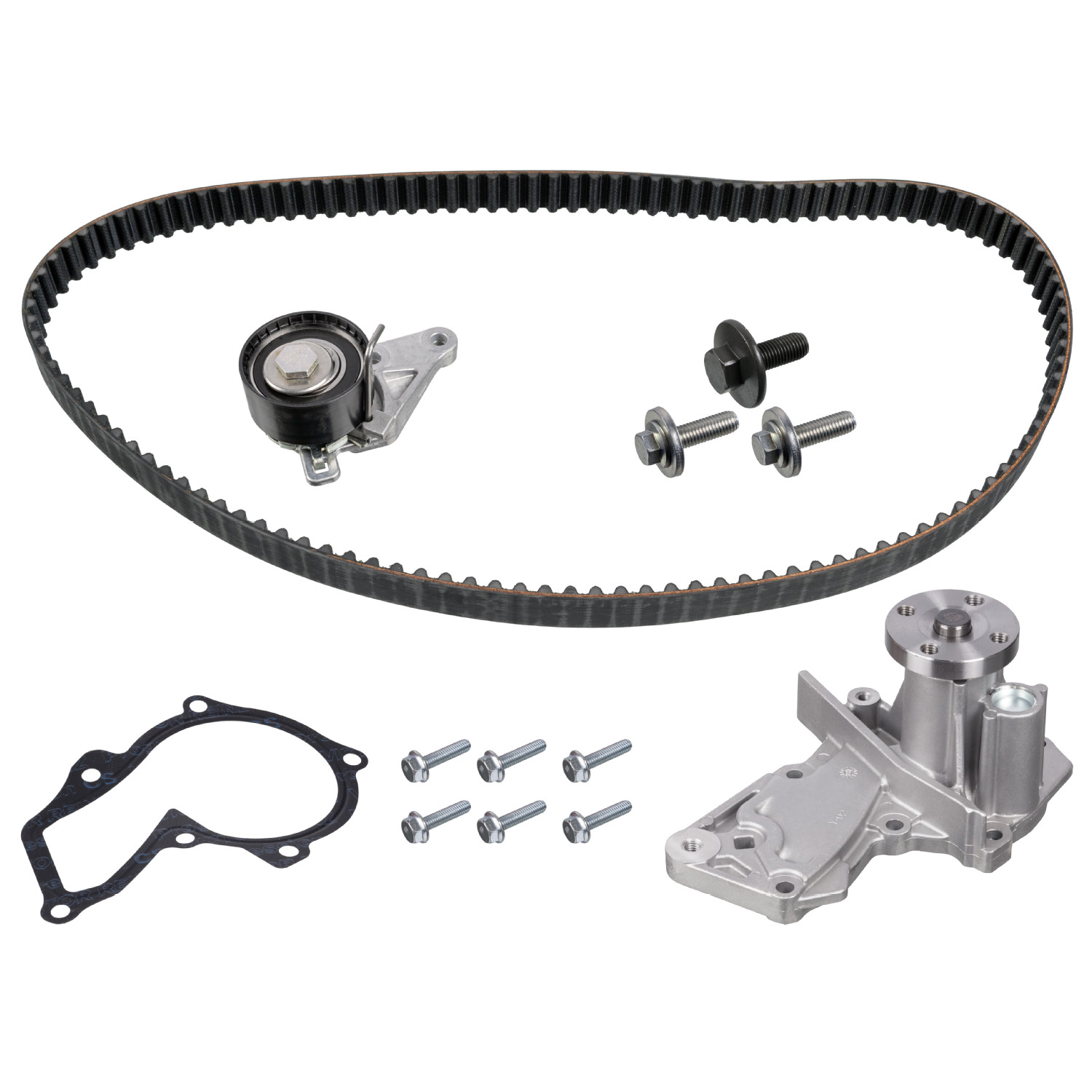 FEBI BILSTEIN Vandpumpe + tandremssæt 173112 for FORD
