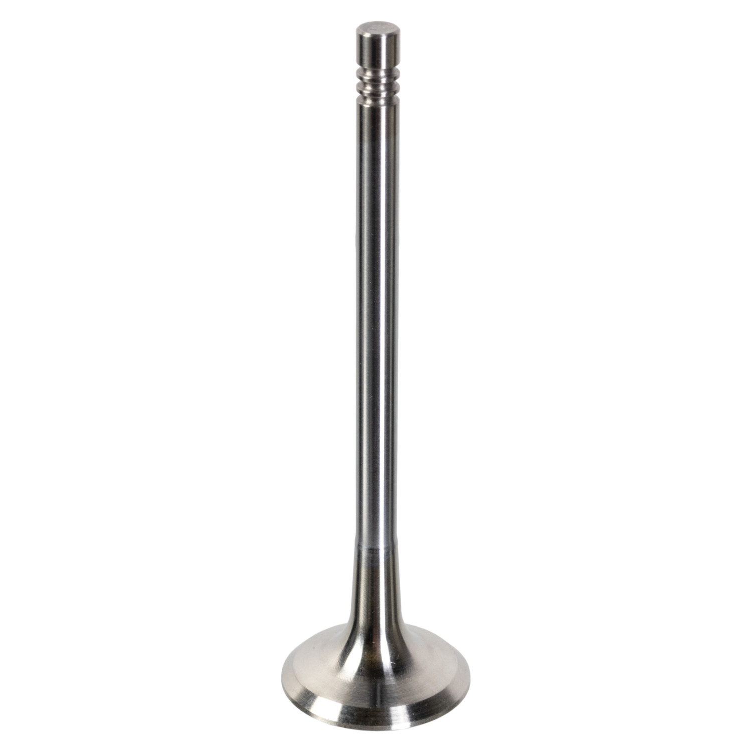 FEBI BILSTEIN Udstødningsventil 181648 for VW