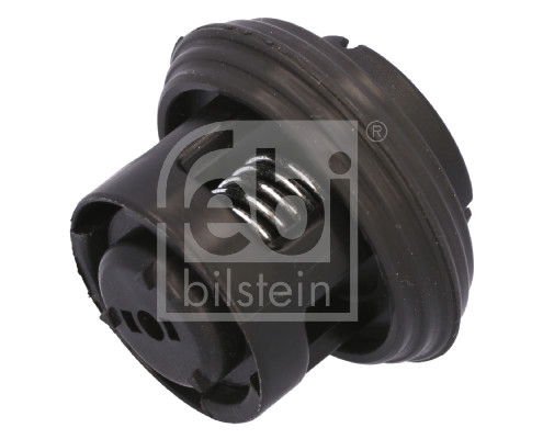 FEBI BILSTEIN Olietrykventil 1001439 for JEEP MERCEDES-BENZ