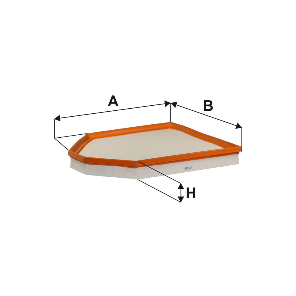 FILTRON Luftfilter ap0286 Filterindsats length_mm_203|Længde [mm]|313 width_mm_206|Bredde [mm]|258 height_mm_209|Højde [mm]|38 38mm for BMW