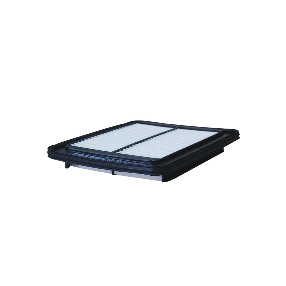 FILTRON Luftfilter ap1073 Filterindsats length_mm_203|Længde [mm]|235 width_mm_206|Bredde [mm]|178 height_mm_209|Højde [mm]|30 30mm for HYUNDAI