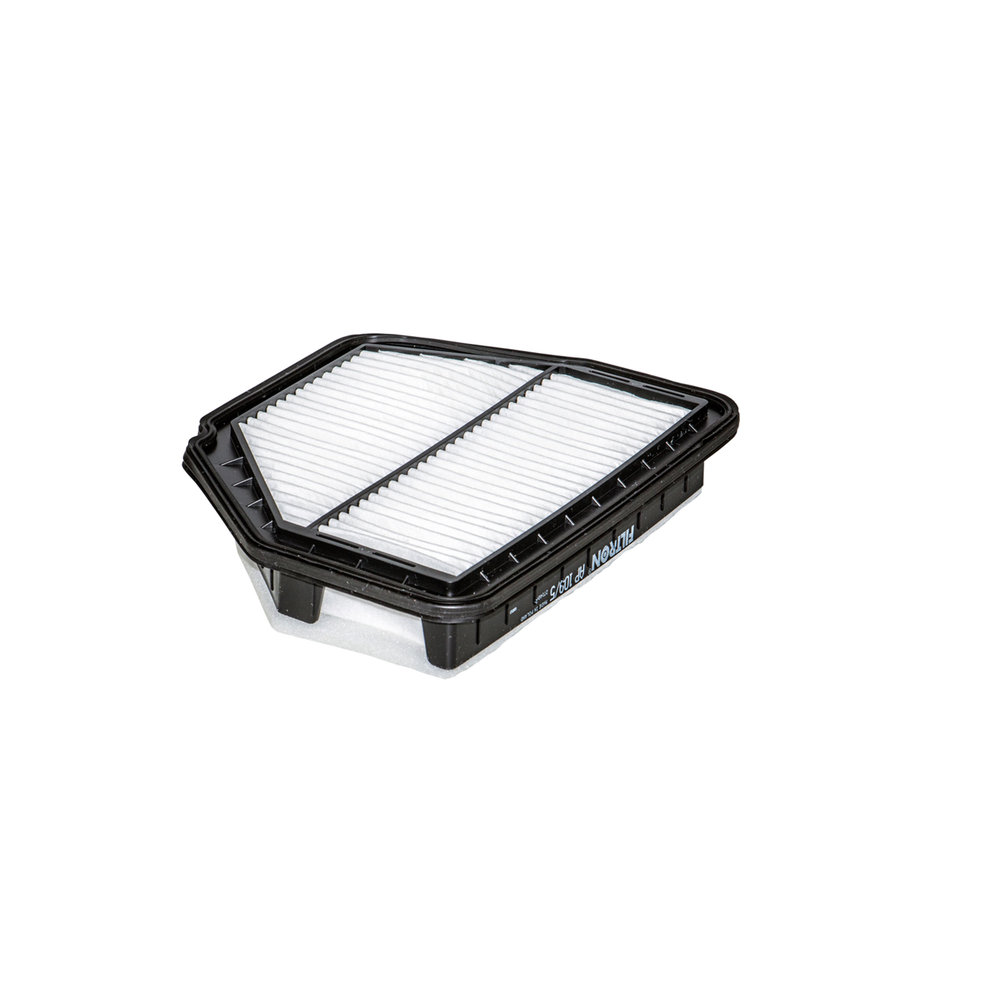 FILTRON Luftfilter ap1095 Filterindsats length_mm_203|Længde [mm]|285 width_mm_206|Bredde [mm]|229 height_mm_209|Højde [mm]|66 66mm for OPEL GENERAL