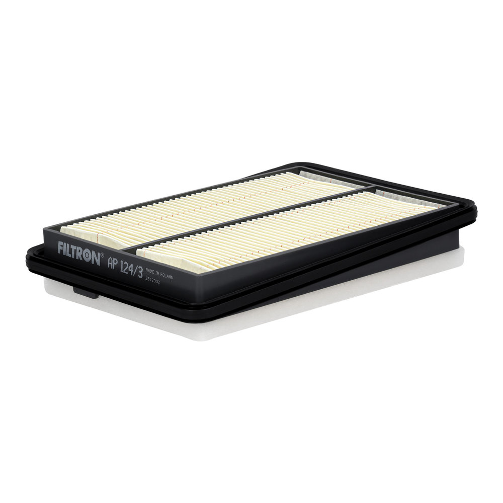 FILTRON Luftfilter ap1243 Filterindsats length_mm_203|Længde [mm]|253 width_mm_206|Bredde [mm]|173 height_mm_209|Højde [mm]|30 30mm for RENAULT
