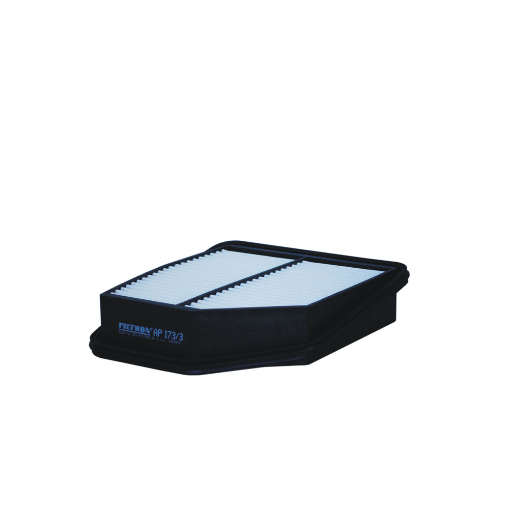 FILTRON Luftfilter ap1733 Filterindsats length_mm_203|Længde [mm]|242 width_mm_206|Bredde [mm]|217 height_mm_209|Højde [mm]|54 54mm for SUZUKI