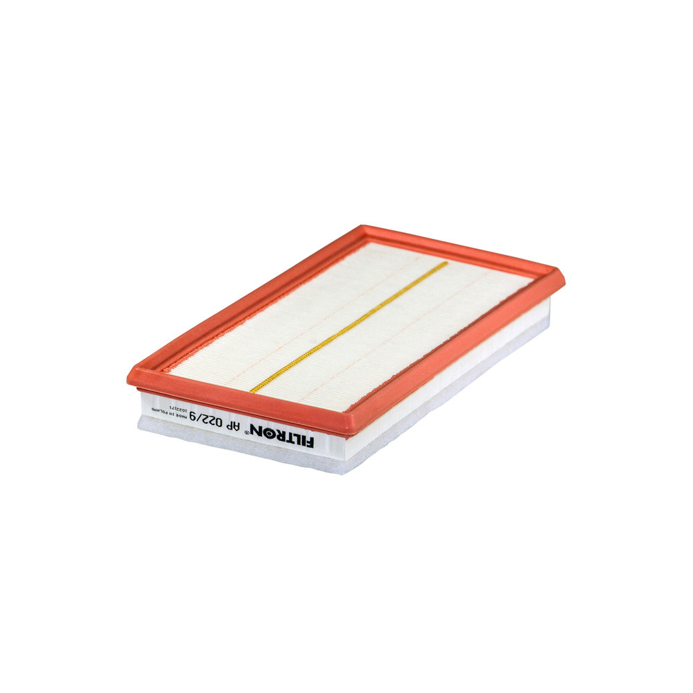 FILTRON Luftfilter ap0229 Filterindsats length_mm_203|Længde [mm]|302 width_mm_206|Bredde [mm]|154 height_mm_209|Højde [mm]|44 44mm for FIAT