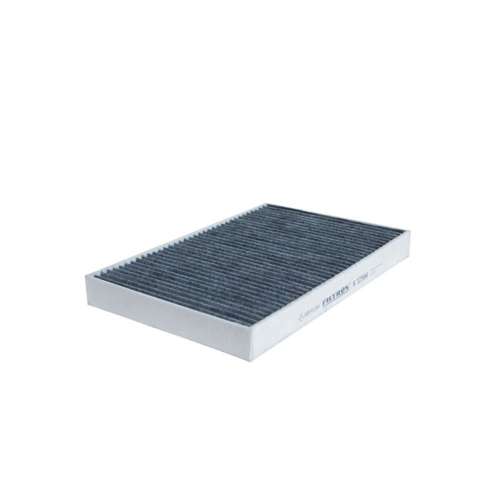 FILTRON Kabineluftfilter k1256a for IVECO