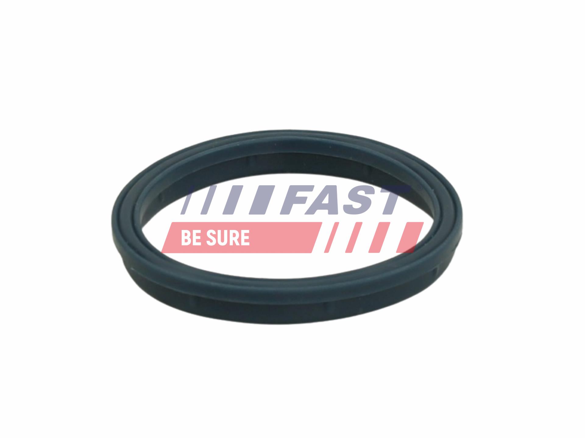 FAST Pakning, indsugningsmanifold ft49407 Indtag for FORD CITROËN