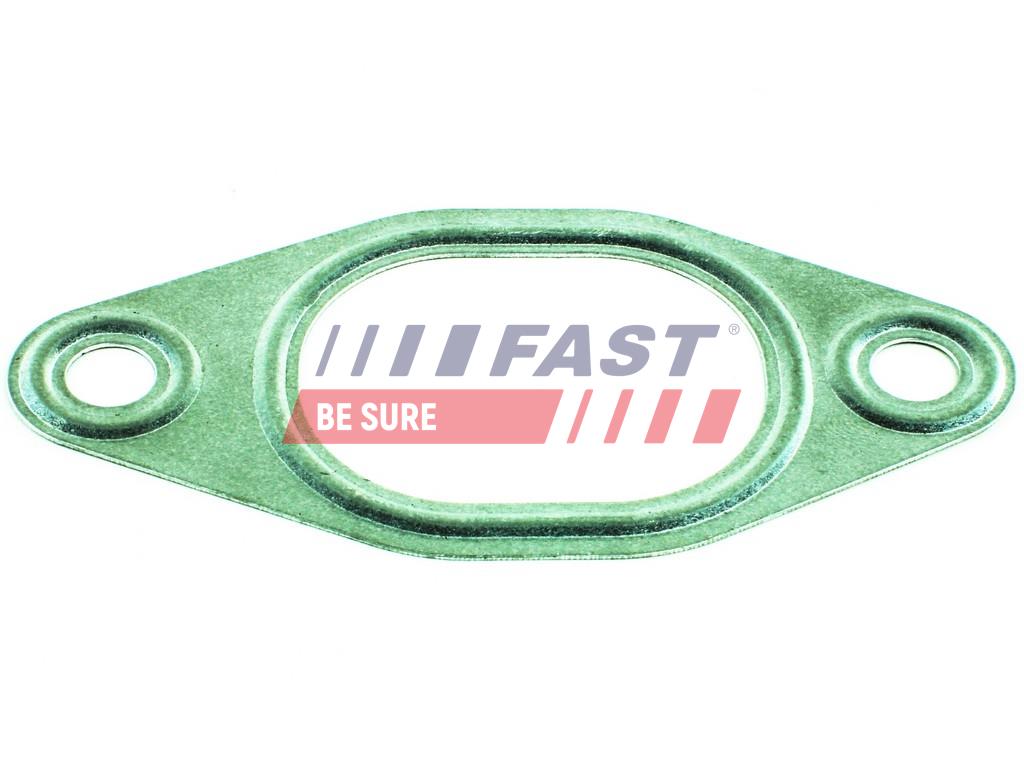 FAST Pakning, udstødningsmanifold ft49428 for CITROËN IVECO RENAULT VW FORD