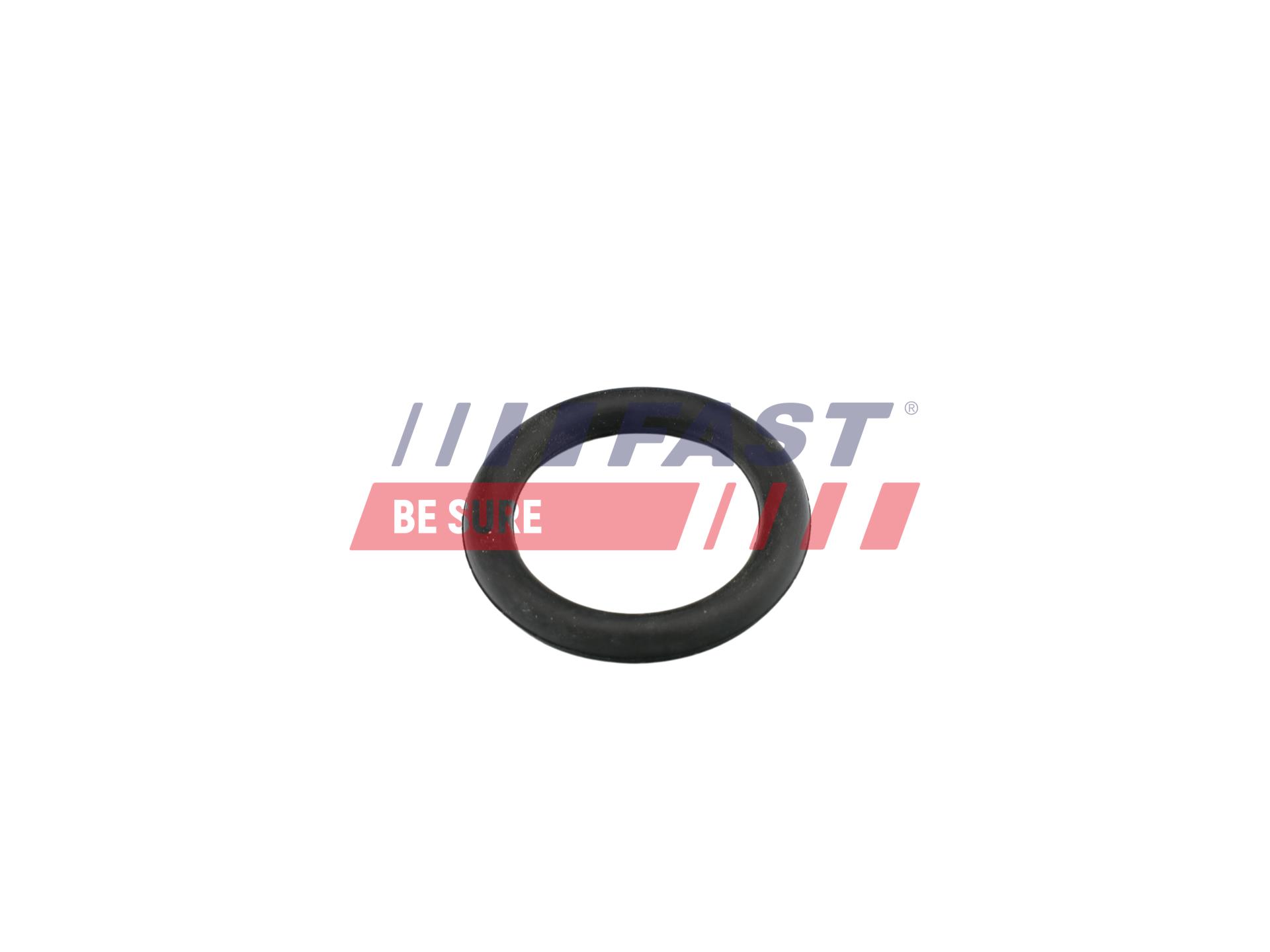 FAST Pakning, indsugningsmanifold ft49419 for FIAT VW