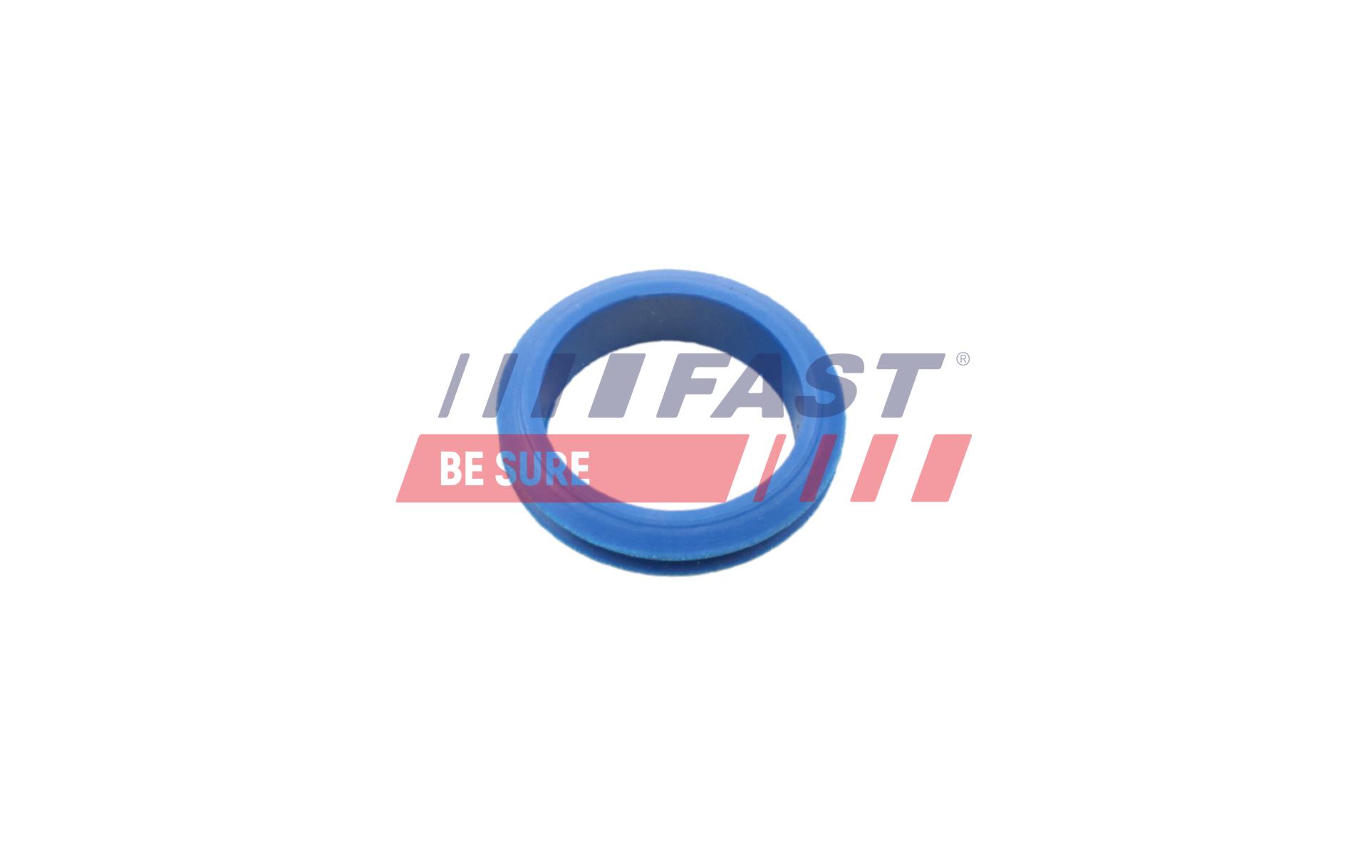 FAST Pakning, oliepind ft48955 for FORD