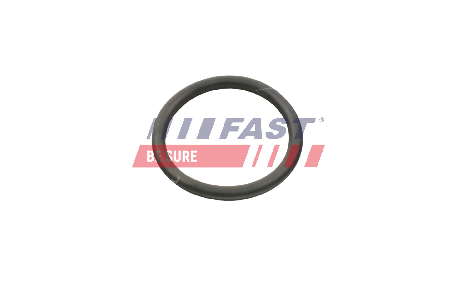 FAST ft49934 vandpumpe for FORD CITROËN FIAT