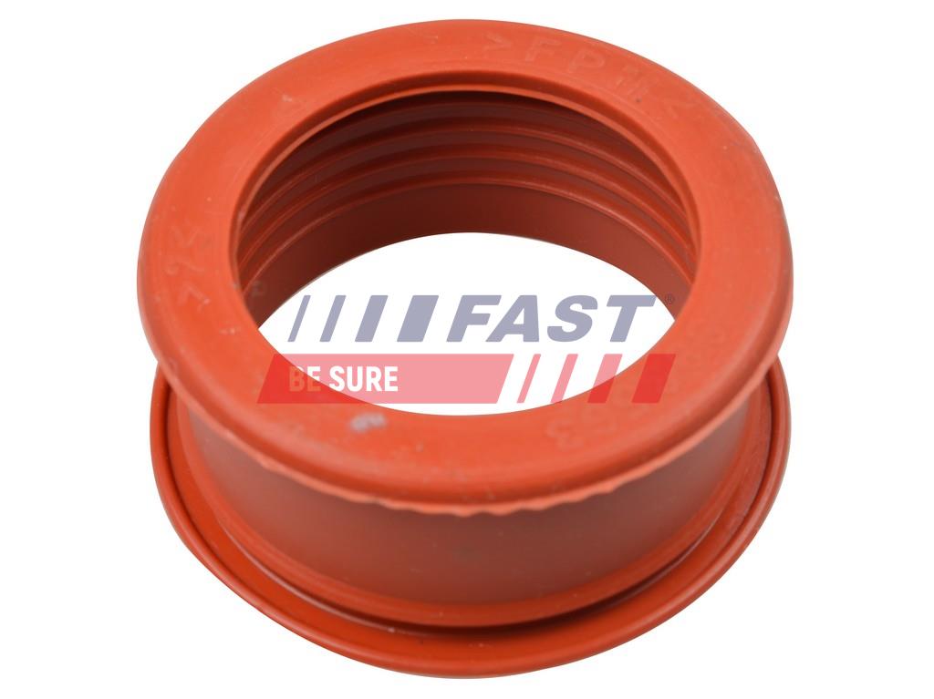 FAST Ladeluftslange ft61773 Indtag for FIAT