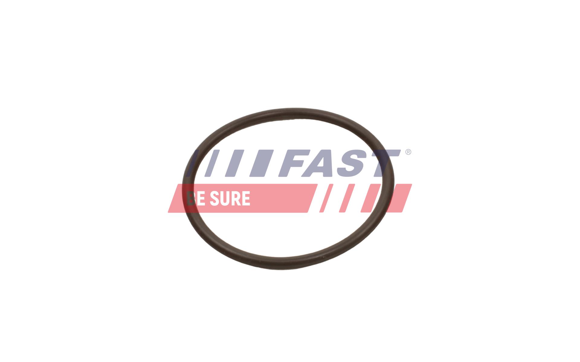 FAST Pakningsring, turboladerslange FT49933 for FIAT