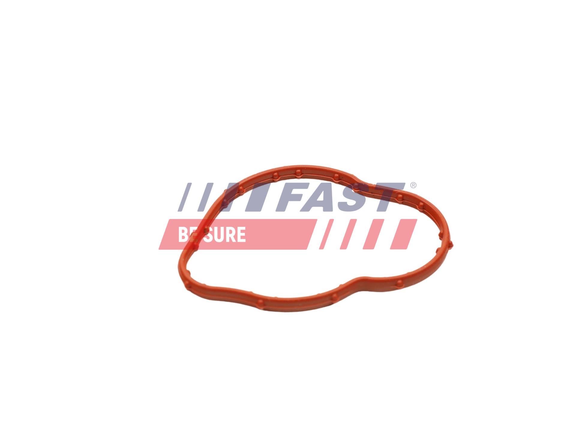 FAST Pakning, termostat ft58305 for RENAULT