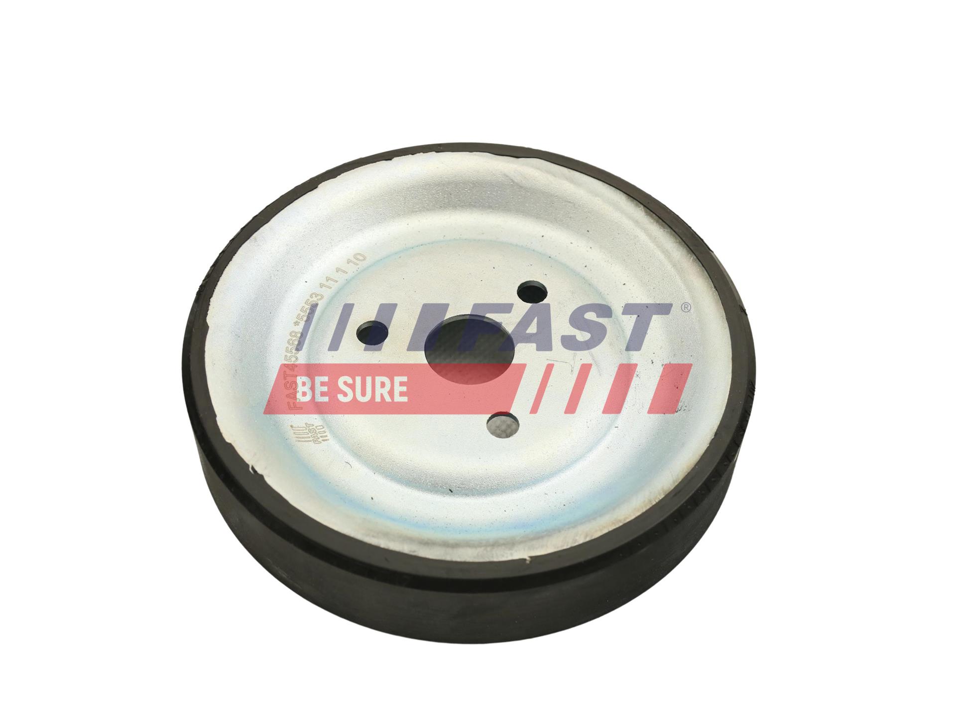 FAST Remskive, vandpumpe ft45568 for VW GENERAL MOTORS BMW CITROËN