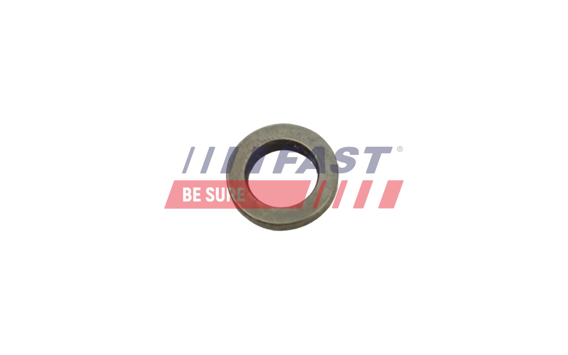 FAST Pakning, dyseholder ft53851 for IVECO CITROËN