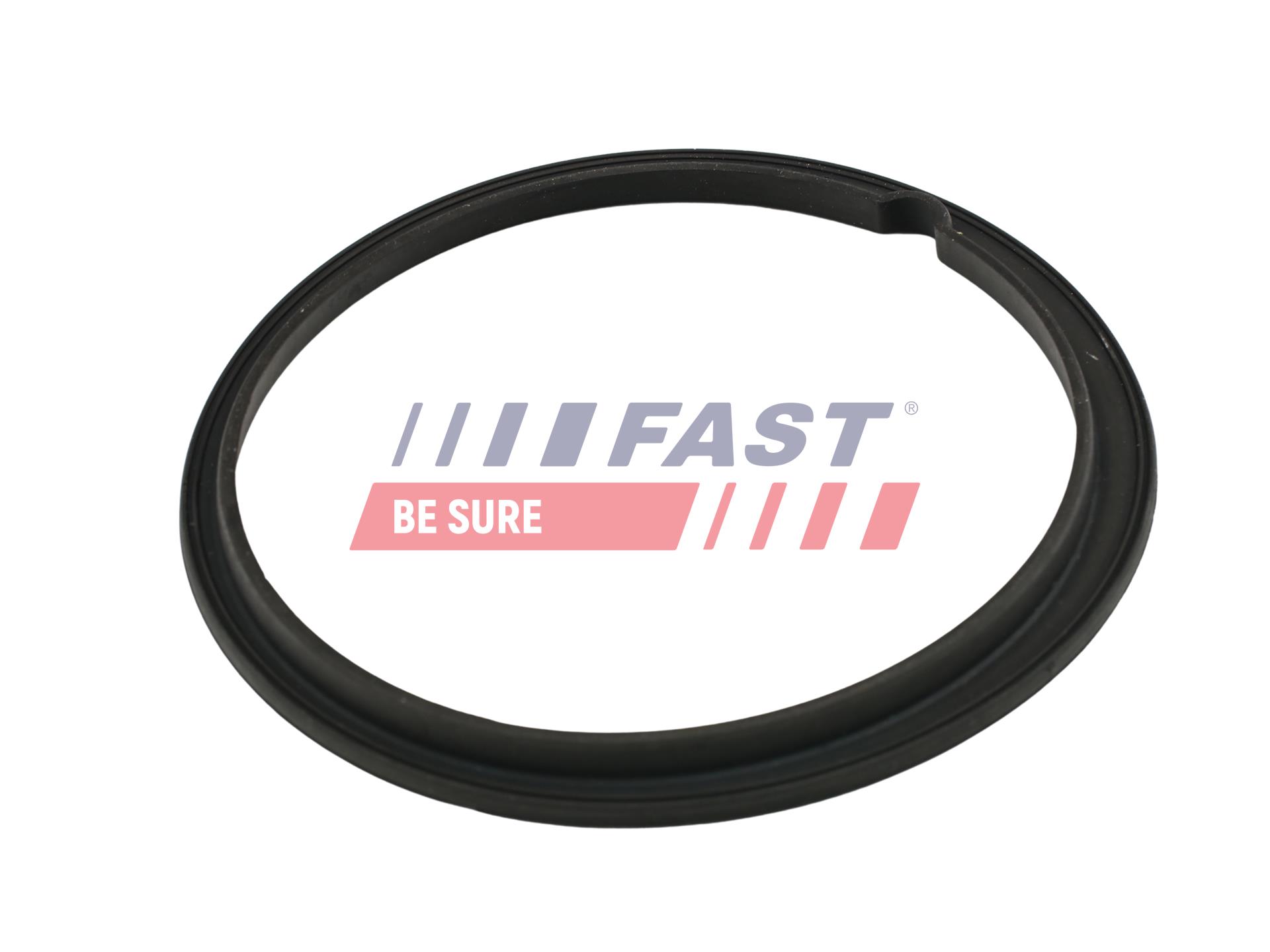 FAST Pakning, tankmåler ft48502 for CITROËN FIAT