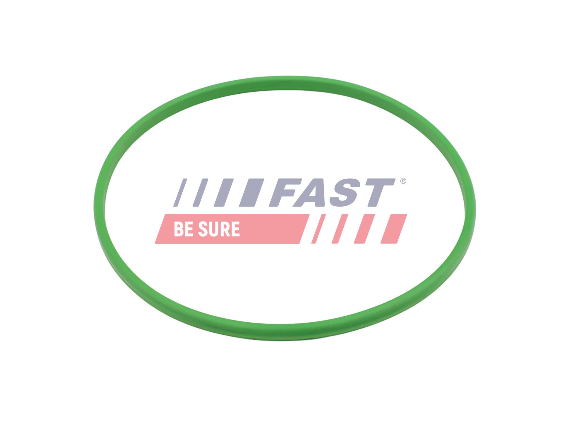 FAST Pakning, brændstofbeholder ft48503 for CITROËN FIAT FORD