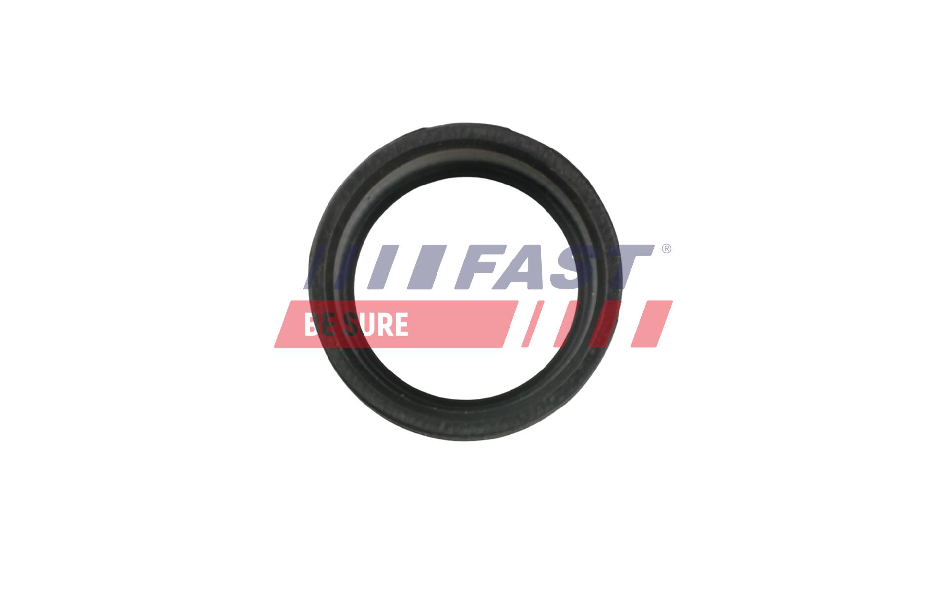 FAST Pakningsring, turboladerslange FT48953 for MERCEDES-BENZ