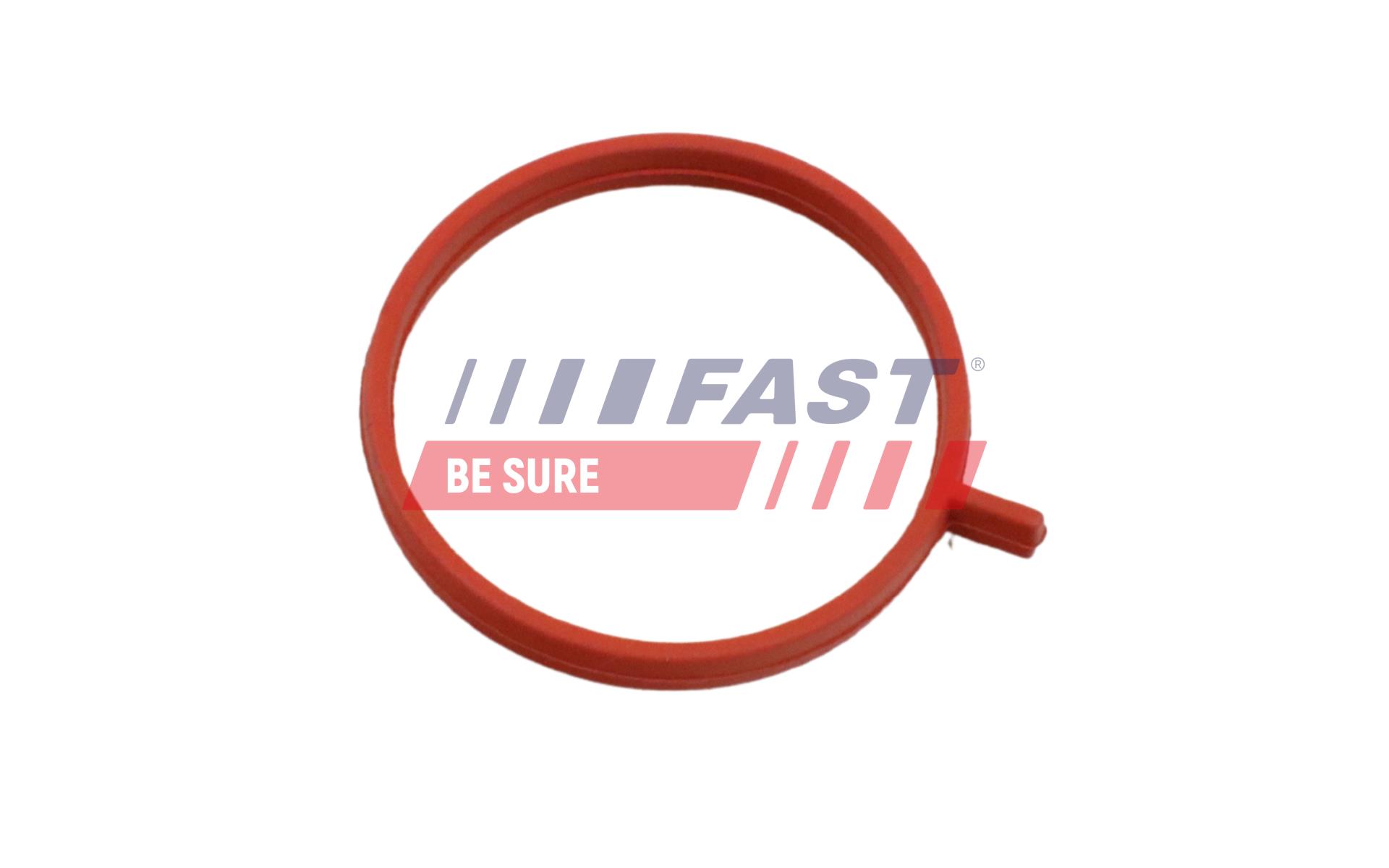FAST Pakningsring, turboladerslange FT48963 for FIAT